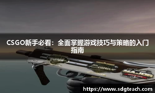 jn体育官方入口