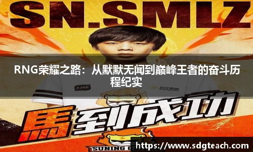 RNG荣耀之路：从默默无闻到巅峰王者的奋斗历程纪实