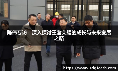 陈伟专访：深入探讨王者荣耀的成长与未来发展之路