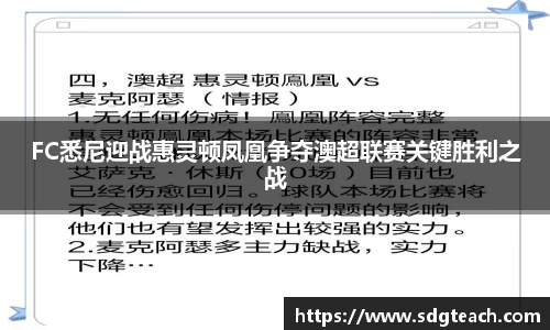 FC悉尼迎战惠灵顿凤凰争夺澳超联赛关键胜利之战