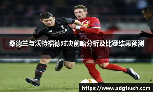 星空电子首页网站