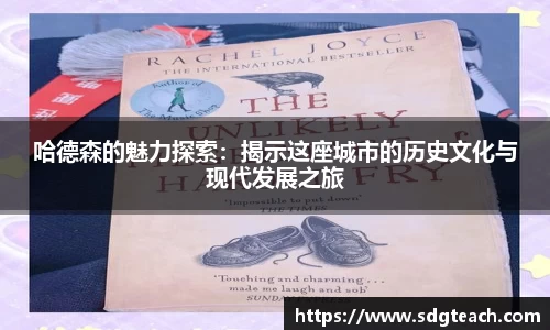 哈德森的魅力探索：揭示这座城市的历史文化与现代发展之旅