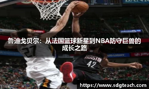 鲁迪戈贝尔：从法国篮球新星到NBA防守巨兽的成长之路