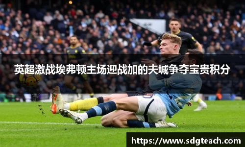 英超激战埃弗顿主场迎战加的夫城争夺宝贵积分