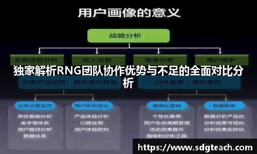独家解析RNG团队协作优势与不足的全面对比分析